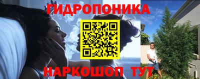 стаф Янаул