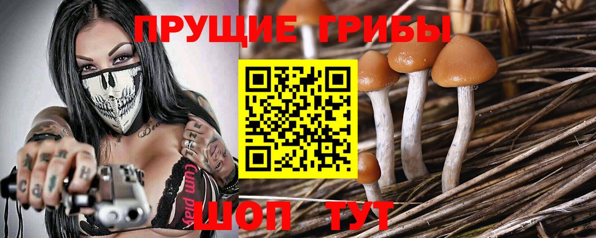 Белебей  Псилоцибиновые грибы Cubensis  Галлюциногенные грибы Psilocybe  Вход с VPN 
